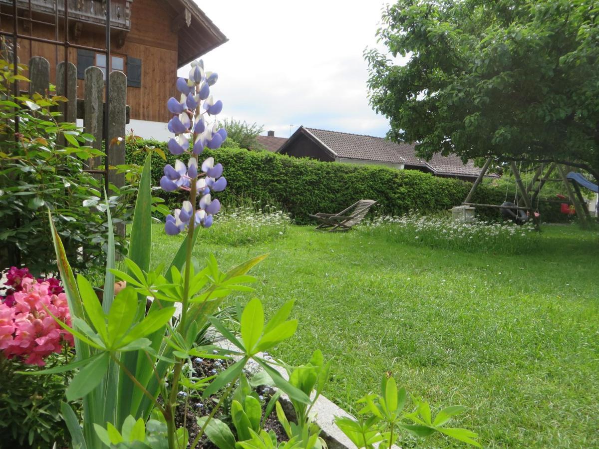 Landhaus Fam. Doll Bichl Exterior foto